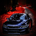 avatar Davye5243