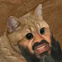 thebeardedslut