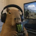 nathanthecapybara