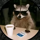 robxd.