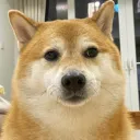 moonoldaccount