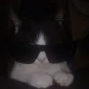 mangonic