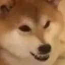 dltzhn