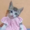 cecilyy