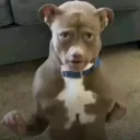 zachh620
