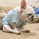 tim0520601316's Avatar