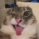 souljagger