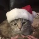beepeachy