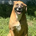gunner_