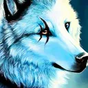 wolfie9246