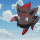 shiny.zorua