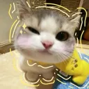 kzsrai