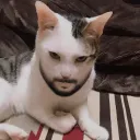 michof7u7