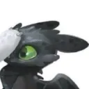 foxydapirateyt
