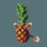 ananaseek