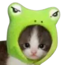 _.froggie._