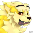 shinyarcanine1