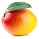 acasualmango avatar