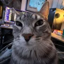 mikheydazz