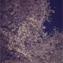 starwav3