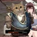 fatcatkashinoshusbando