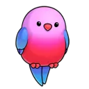 birb8948