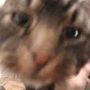 lukeydukey08