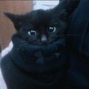 avatar New account kaattzee