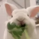 jlyayaa