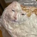 mrsmiff avatar