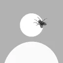 jumbohatdog9978 avatar