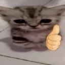nikoftz