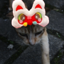 avatar Haltinsniperz