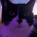 beamerboyyy