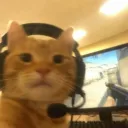 abluejay24