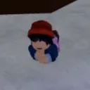 zestychickenmeatballs