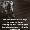1maxsimmons
