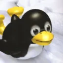 raraio