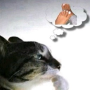 bddukes24 member profile picture