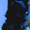 .kira_.