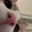 r_izzex