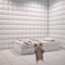 avatar WillTheHunter - Willy