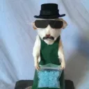 porutok