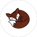 allthingsfoxes3728
