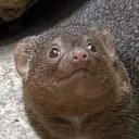 bearamiandwhoareyou