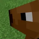 anaura