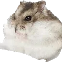 Аватар uniquebrain.