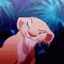 nala7951