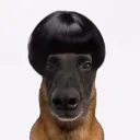 yomiwilly