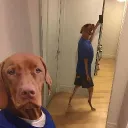 notmanass